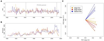 Quantitative wood anatomy and stable carbon isotopes indicate pronounced drought exposure of Scots pine when growing at the forest edge